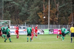 VfL_Vierraden-FC_Schwedt02II-12.11.22-16