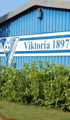 FSVSV-1