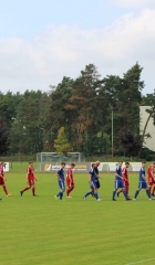 FSVSV-3