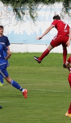 FSVSV-8