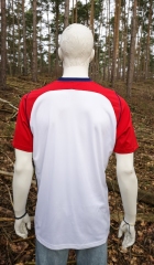 WestBrom-Trikot.17-18-2